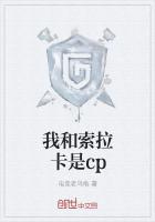 我和索拉卡是cp